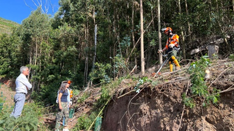 Madeira conta com 10 sapadores florestais