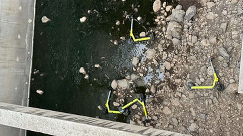 Foto DR/Patrícia Fernandes