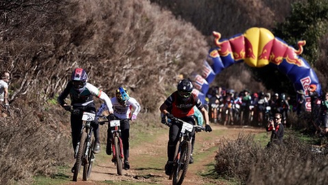 Fotos António Abreu