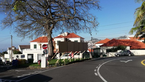 No alto da Pena, na freguesia de Santa Luzia, já estão colocados os placares que podem ser utilizados pelos partidos políticos nesta campanha eleitoral.&nbsp;