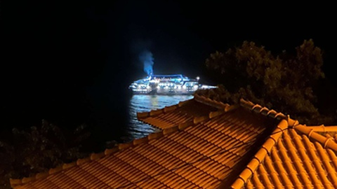 Lobo Marinho ao largo da Madeira&nbsp;