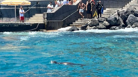 Foto Ricardo Pereira