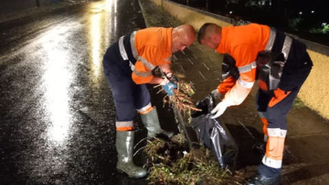 Equipas da CMF no terreno