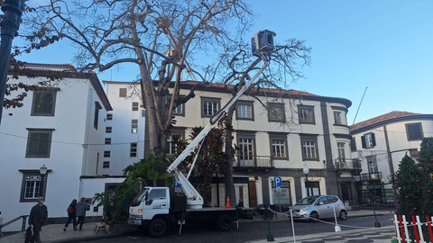 Fotos Orlando Drumond