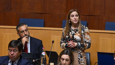 Sancha Campanella (PS)