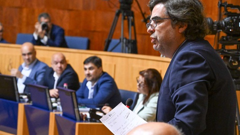 Gonçalo Maia Camelo