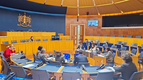 João Guerreiro, antigo presidente do Conselho de Administração da A3ES, foi ouvido esta terça-feira, por videoconferência.&nbsp;