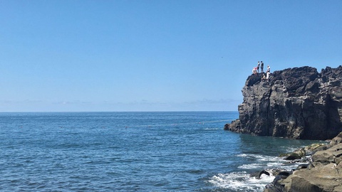 Lobo-marinho ainda permanece na zona balnear da Praia Formosa.&nbsp;