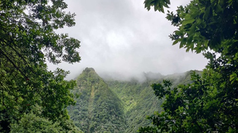A costa Norte e as terras altas deverão apresentar-se mais cinzentas.&nbsp;