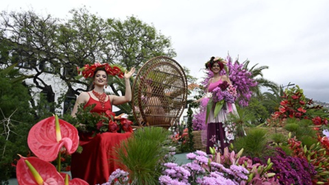 Cortejo da Festa da Flor 2025