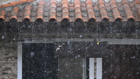 Foto Rui Silva/Aspress