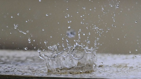 Foto Rui Silva/Aspress