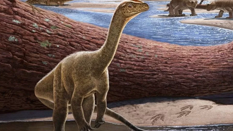 Reconstrução artística do Mbiresaurus raathi