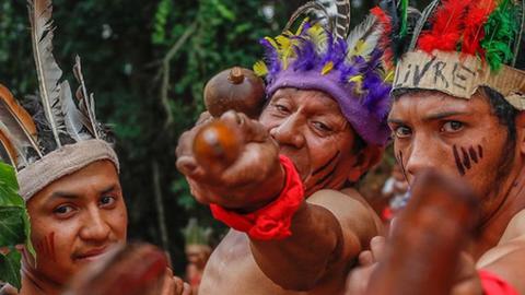 Especialista em povos indígenas isolados morre atingido por flecha no Brasil  — dnoticias.pt