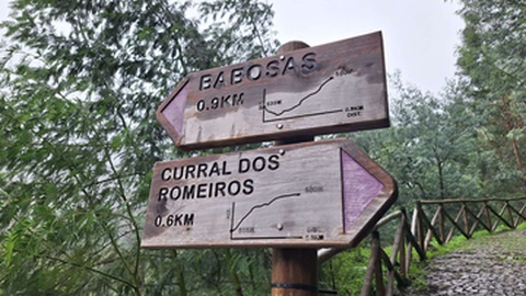 O trilho entre as Babosas e o Curral dos Romeiros apresenta alguma sinalética, com a indicação da distância a percorrer e o desnível altimétrico, com perfil traçado.&nbsp;