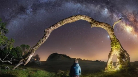 Fotos de Alexander Forst pulicadas no Público