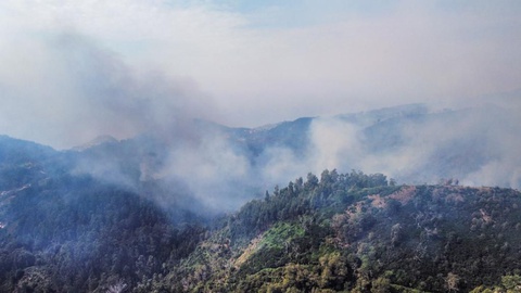 Foto Câmara Municipal de Câmara de Lobos