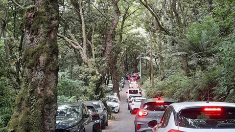 Imagem captada em Agosto do ano passado.