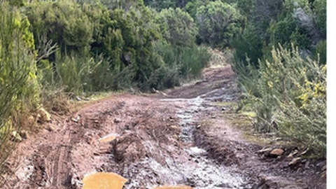 Foto DR/Facebook/Governo Regional da Madeira