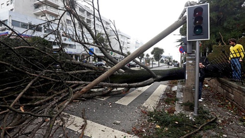 Foto José Coelho/Lusa