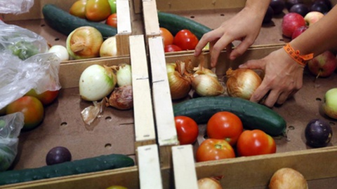 Foto José Coelho/Lusa