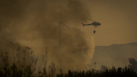 Foto Pedro Sarmento Costa/Lusa