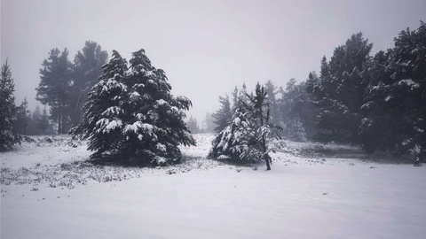 Parque Ecológico do Funchal, 19 de Março de 2026