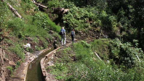 Turistas desorientaram-se no percurso e pediram ajuda para regressarem ao Curral das Freiras.&nbsp;