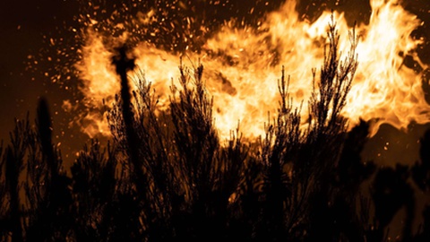 Fotografia de ontem à noite.&nbsp; &nbsp;Foto Miguel Espada/Aspress