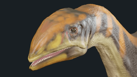 Imagem computorizada da aparência do dinossauro publicada no artigo destes investigadores.