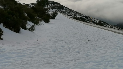 Imagem captada na última segunda-feira, dia 18, próximo do cume do Pico do Areeiro