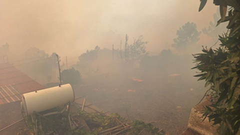 O quintal de uma das casas já se encontra a ser consumido pelas chamas.