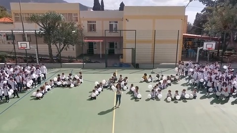 Foto print vídeo/Facebook