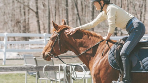 Foto DR/Quinta da Caldeira