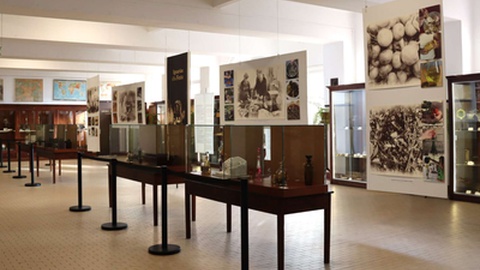 Fotos DR/Escola Secundária Jaime Moniz