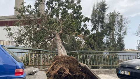 Foto Sérgio Teixeira