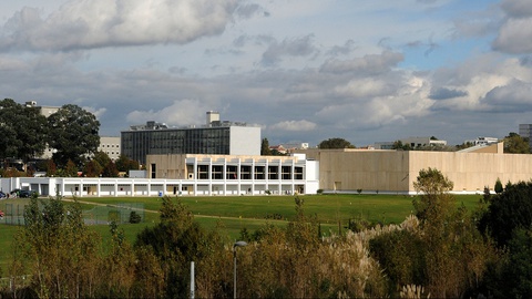 Foto DR/Universidade do Porto