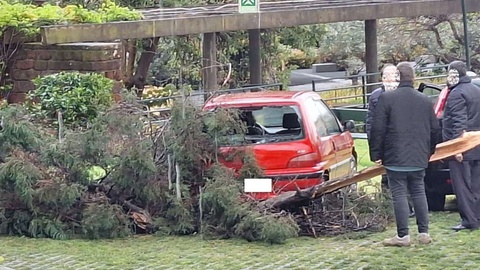 O vento forte tem levado à queda de vários ramos ramos de árvores.&nbsp;