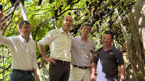 O presidente do Instituto da Vinha e do Vinho dos Açores, Cláudio José Gomes Lopes, está na Região.&nbsp;