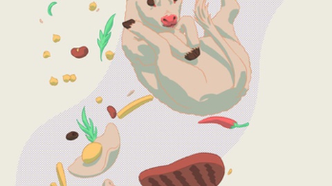 Foto DR/Guia Prático do Consumo de Proteína