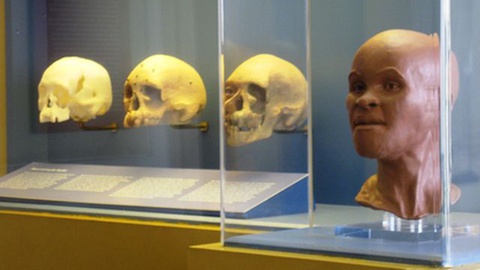 Até à data, o fóssil mais antigo descoberto nas Américas era o crânio de Luzia