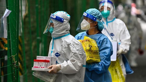 Novo vírus na China é de uma família de Henipavírus&nbsp;