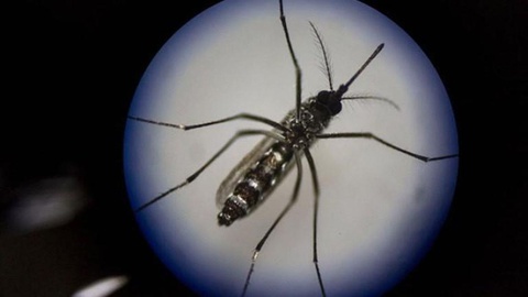 Os viajantes que regressem das regiões afectadas e apresentem sintomas devem contactar a Linha SNS ou consultar um médico logo que possível. FOTO Getty Images