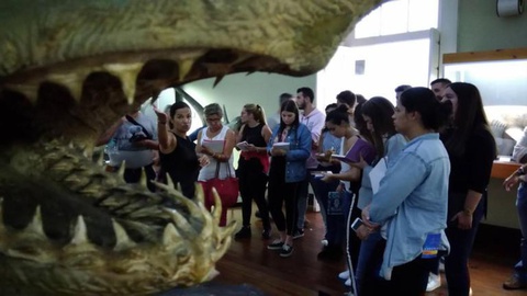 O Liceu proporciona também aos seus alunos visitas guiadas ao Museu de História Natural do Funchal.