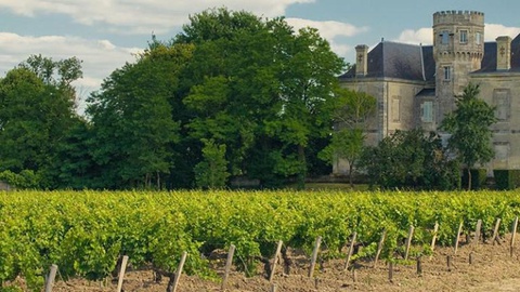 Pela primeira vez na sua história, a companhia leva jornalistas e especialistas internacionais a conhecer as principais regiões produtoras de vinho em Portugal.