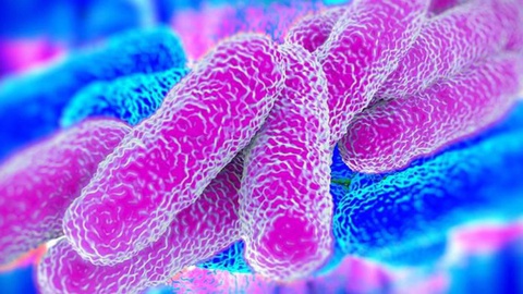 Segundo a DGS, permanecem internados três doentes em enfermaria e dois em cuidados intensivos.