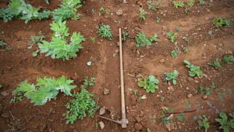 FOTO Arquivo