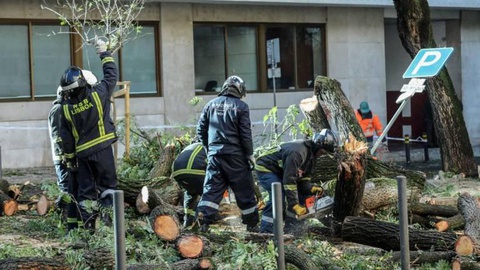 Além de quedas de árvores, a Protecção Civil registou também quedas de pequenas estruturas e pequenas inundações. FOTO LUSA