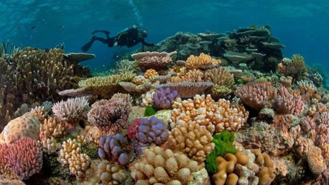 Foto: DAVID DOUBILET/NATIONAL GEOGRAPHIC CREATIVE