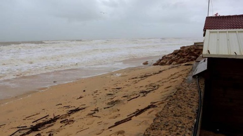 Foto André Vidigal/Global Imagens